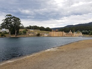 湖畔风光 远处建筑与树木