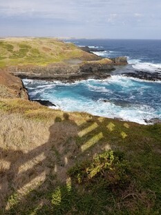 海岸风光 海浪拍击岩石