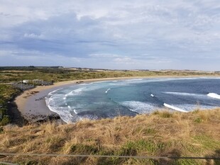 海岸风光 蓝色大海与草地