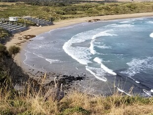 宁静海滩 海浪轻拍岸边