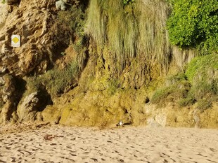 海岸边的岩石与沙地景观