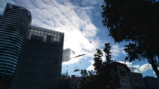 城市天空下的高楼与树木