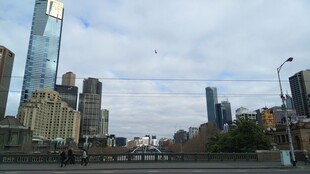 城市天际线 高楼林立景观