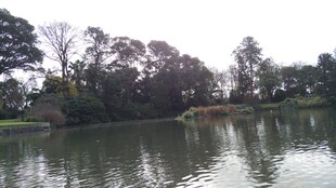 湖畔绿树环绕的宁静水域