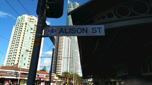 城市中悬挂的单行道指示牌