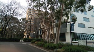 校园道路旁的建筑与树木