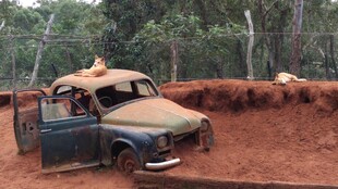 泥泞中陷车的老旧越野车
