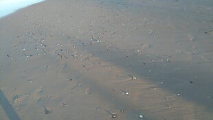 空中俯瞰广袤沙漠景象