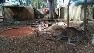户外荒废庭院场景