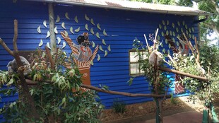 蓝色小屋旁的绿植与树枝