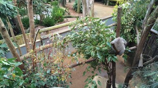 繁茂绿植环绕的户外小径