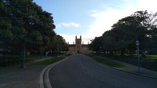 林荫道路通向远方建筑