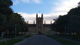 古典建筑前的林荫大道