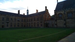 古老庭院中的大片绿草地