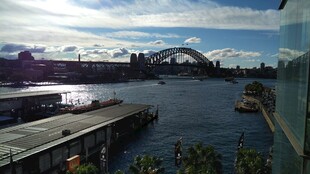 悉尼港湾美丽风光