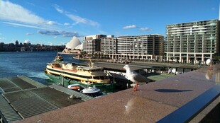 港口停靠的船只与城市景观