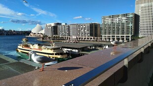 海滨城市码头风光