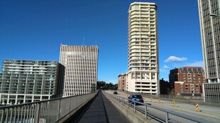 城市高楼与桥梁风景