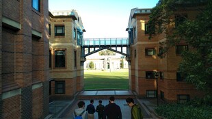 校园内的拱形连廊建筑