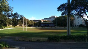 户外开阔绿地风景