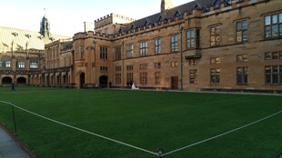 古老校园中的大片绿茵场