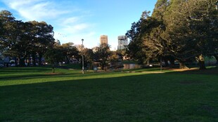 阳光照耀下的开阔草地