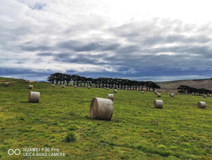 草原上的草垛与辽阔天空