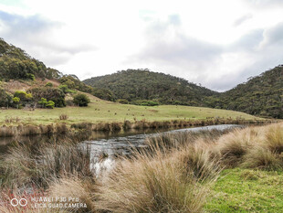 山间静谧水塘与葱郁草地