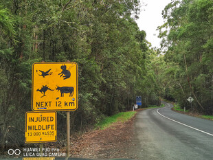 公路旁的野生动物警示标志