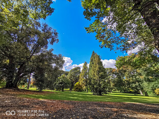 阳光照耀下的绿意盎然公园