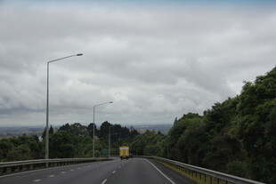 公路穿行于葱郁树林间