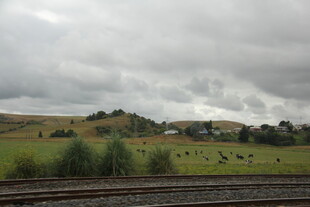 田野铁轨边的阴天风景
