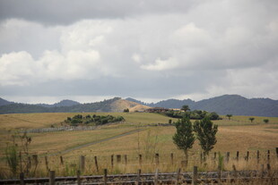 田园风光中的广袤田野