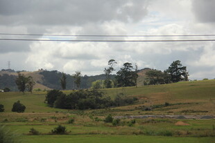 田园风光中的起伏草地与树木