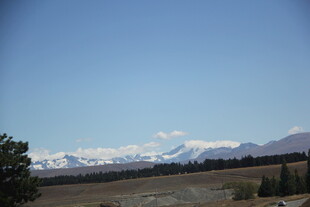 广阔草原与远处雪山景观