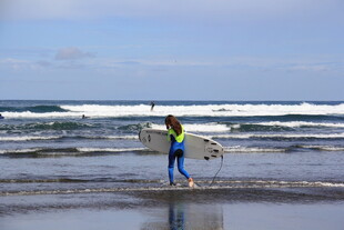 海边女子携狗漫步美好瞬间