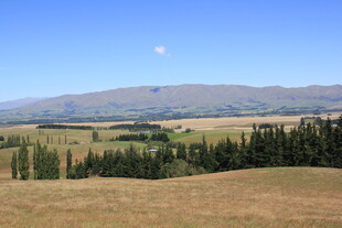 草原山林间的开阔美景