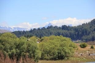 山间葱郁树林与远处雪山