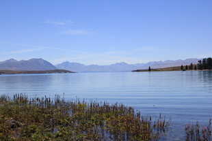 宁静湖畔的美丽自然风光