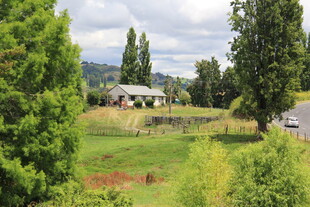 乡村绿意盎然的自然风光