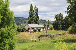 乡村小屋旁的绿意景致
