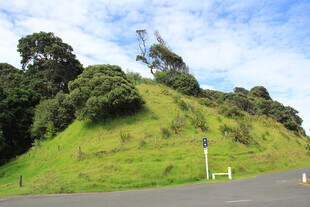 绿意盎然的山坡公路景观