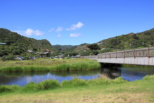 乡村河畔桥梁风景图