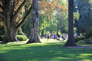 公园林荫下的休闲场景