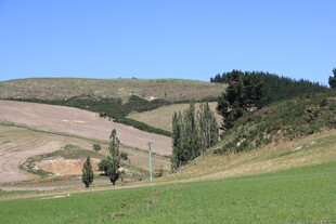 田园风光中的开阔田野景色