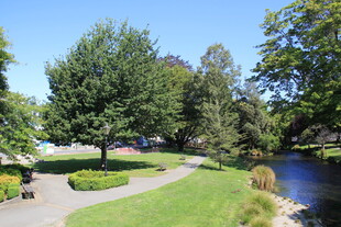 河畔绿意盎然的公园景致