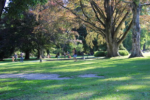 阳光照耀下的静谧公园