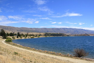 湖畔美景 宁静自然风光