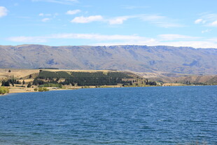 宁静湖畔的美丽自然风光