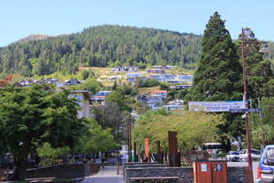 小镇风光 绿树环绕的景致